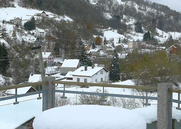 A Avec Terrasse Et Jardin Cloture シャレー