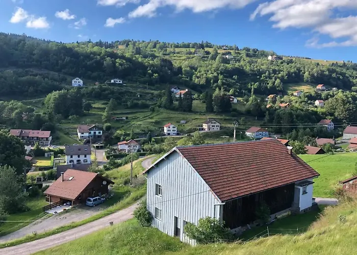 A Avec Terrasse Et Jardin Cloture